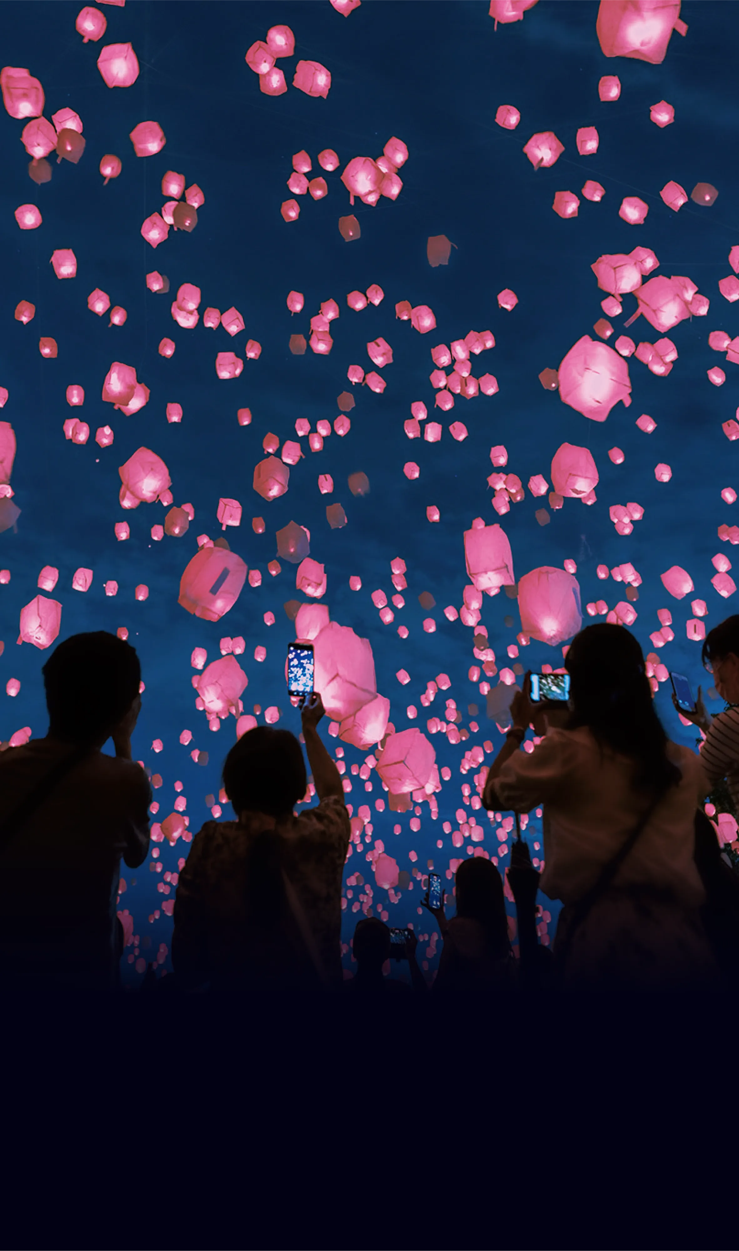 華と酒と灯りの祭典『花見灯夜2026』